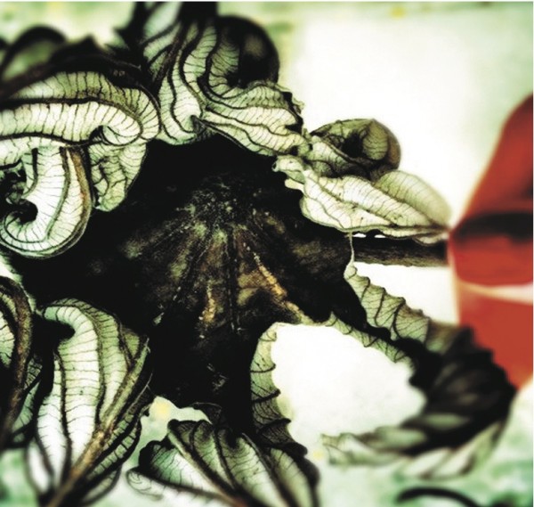 Luisa Mandou Um Beijo libera 3º disco para download